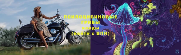 стафф Алексеевка