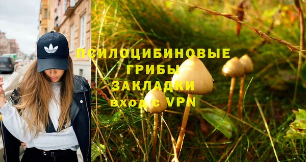 ГАЛЛЮЦИНОГЕННЫЕ ГРИБЫ Алзамай