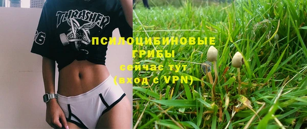 соль ск Алексин