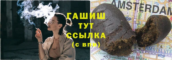 соль ск Алексин