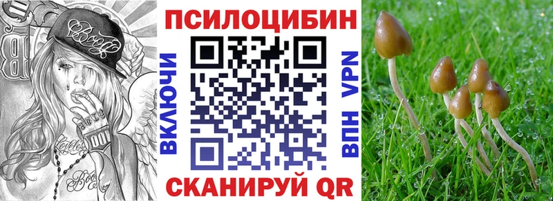 Галлюциногенные грибы GOLDEN TEACHER  продажа наркотиков  Мышкин 